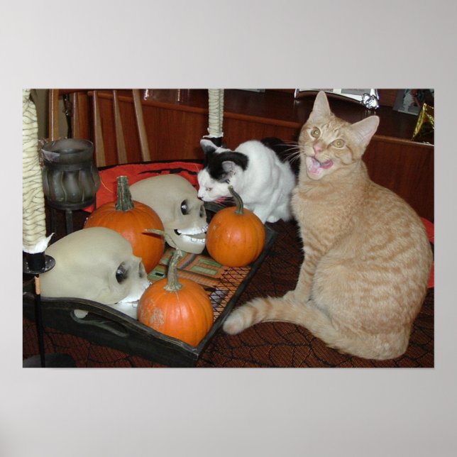 Halloween Scary Cats Poster (Front)