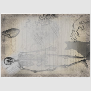 Halloween Skeleton and Black Cat Vintage Ephemera Tissue Paper