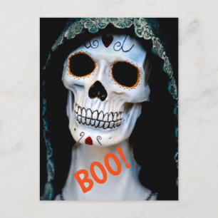 Halloween Skeleton Postcard