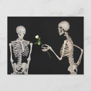Halloween Skeleton Romance Postcard