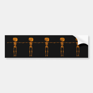 Halloween Skeletons Bumper Sticker