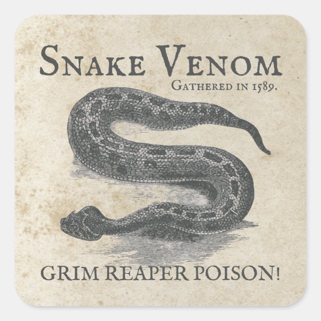 Halloween Snake Venom Antique Apothecary Square Sticker (Front)