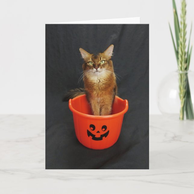 Halloween Somali Cat With Trick or Treat Bucket Holiday Card (Front)