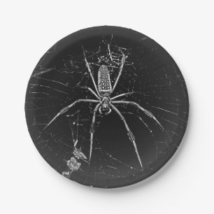 Halloween Spider Paper Plate