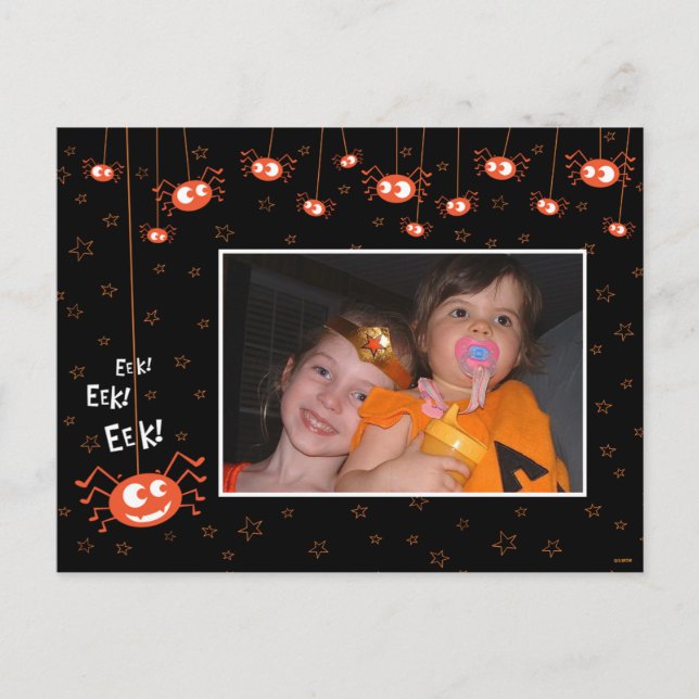 Halloween Spiders and Web Photo Postcard (Front)