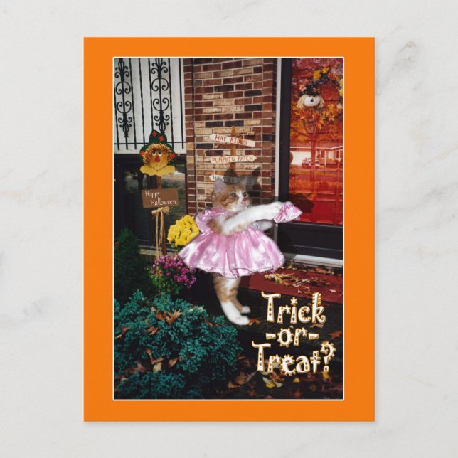 Halloween Trick-or-Treat Kitty Postcard (Front)
