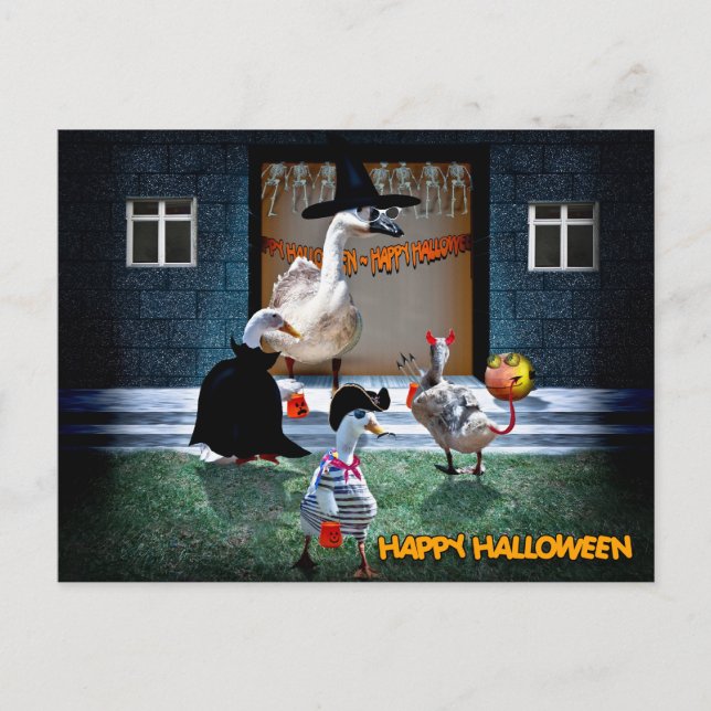 Halloween Trick or Treats Time! Postcard (Front)