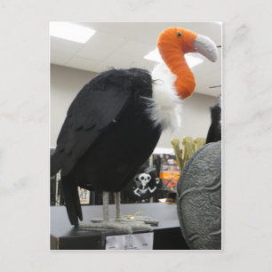 Halloween Vulture Postcard
