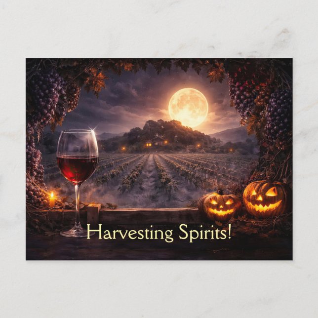 Halloween Wine Vineyard Winery Funny Postcard (Front)