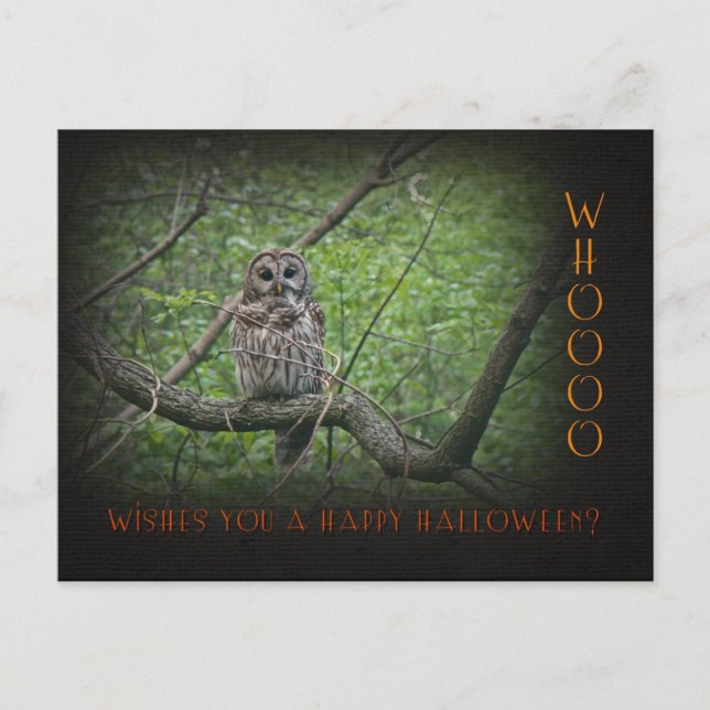 Halloween Wishies -  Barred Owl Postcard (Front)