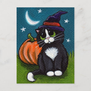 Halloween Witch Cat and Pumpkin Illustration Postcard