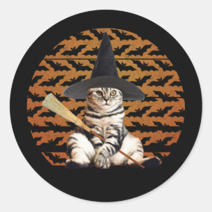 Halloween Witch Cat Classic Round Sticker