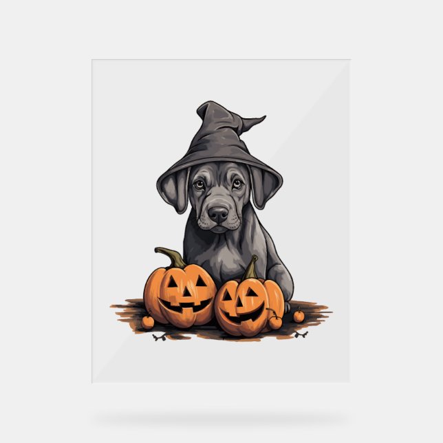 Halloween Witch Hat Pumpkin Dog Great Dane Acrylic Sign (Front)
