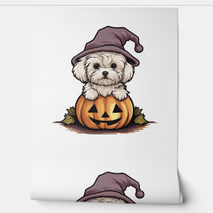 Halloween Witch Hat Pumpkin Dog Maltese Wallpaper