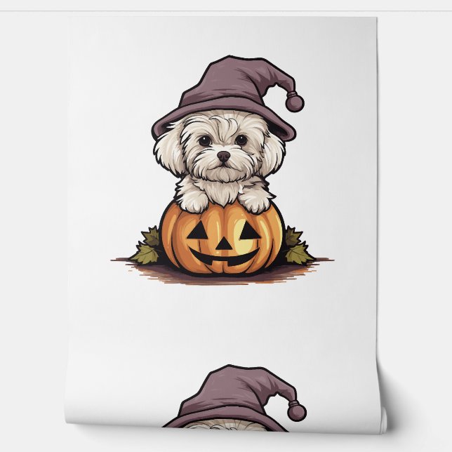 Halloween Witch Hat Pumpkin Dog Maltese Wallpaper (Unrolling)