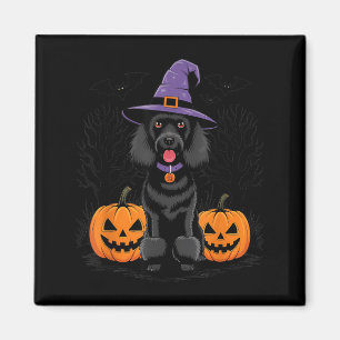 Halloween Witchy Black Standard Poodle Dog Spooky Magnet