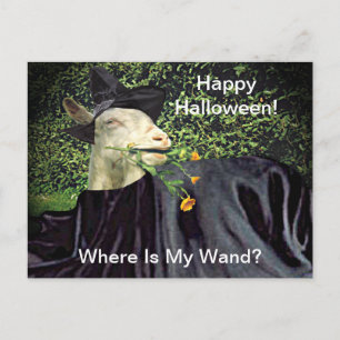 Halloween Wizard Goat Postcard