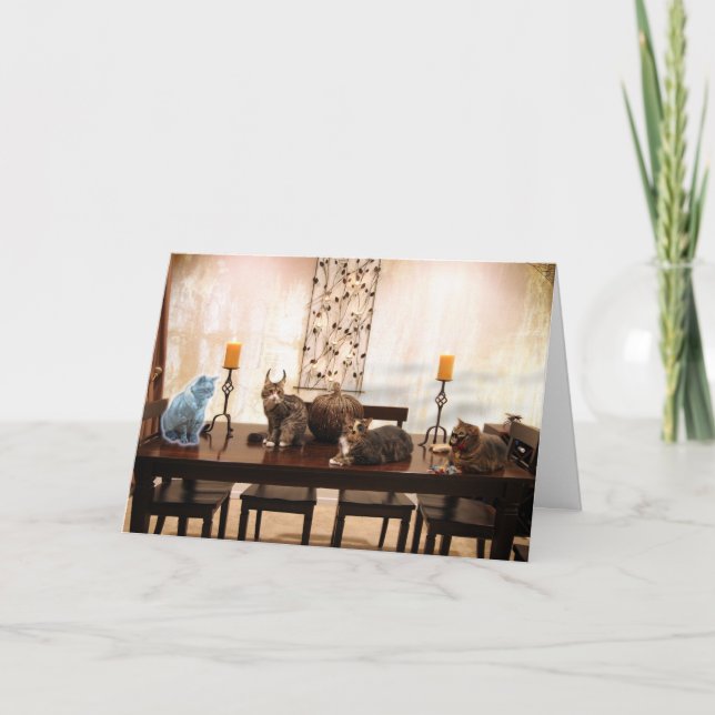 HalloweenCats Card (Front)