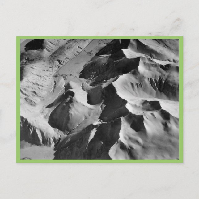 Halter Collection Postcard (Front)