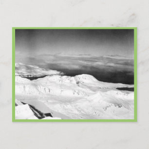 Halter Collection Postcard