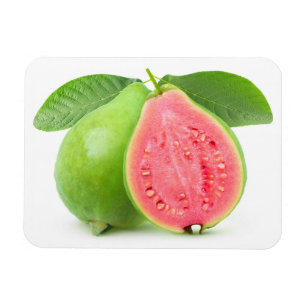 Halved guava magnet