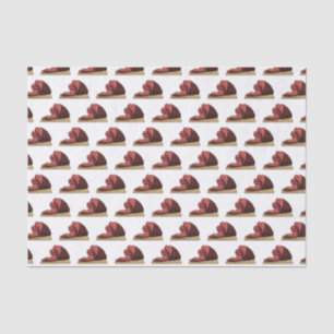 Ham cartoon illustration tissue paper