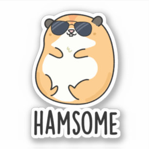 Ham-some Funny Handsome Hamster Pun