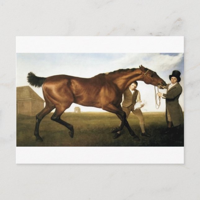 Hambletonian by George Stubbs Postcard (Front)