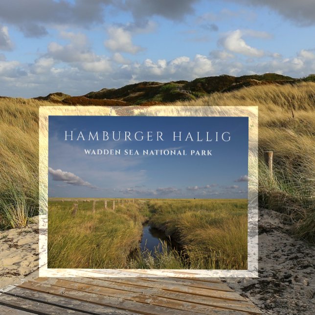 Hamburger Hallig, Wadden Sea, Germany Postcard (Creator Uploaded)