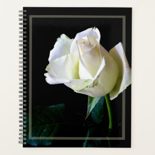 HAMbWG - Daily Planner - White Rose