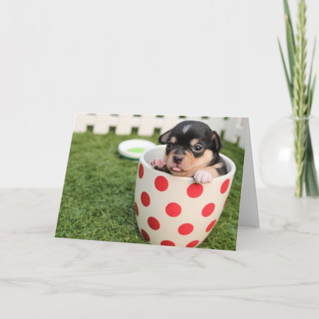 HAMbWG - Greeting Card - TeaCup Puppy (Front)