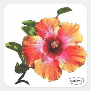 HAMbWG Hibiscus Flower Square Sticker