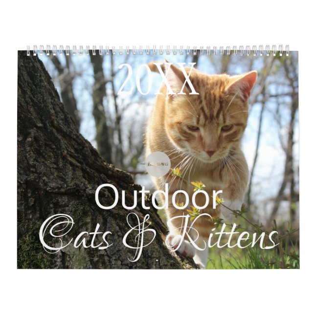 HAMbWG Outdoor Cats & Kittens Calendar (Cover)