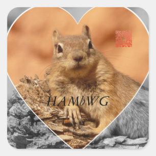 HAMbWG - Stickers - Squirrel G/B Heart Logo