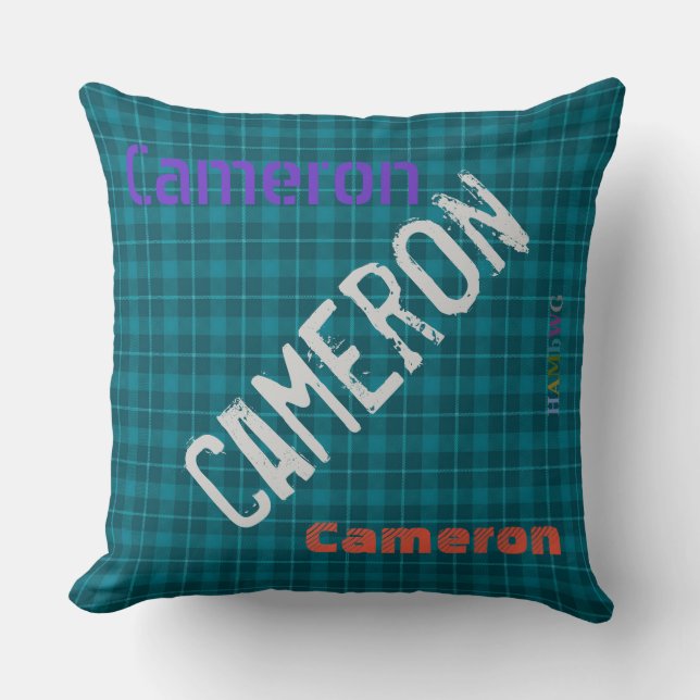 HAMbWG Vanity Pillow - Add your name - Teal Plaid (Front)