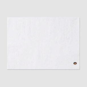 HAMbyWG - 10lb Tissue Paper, Light Blue Paper