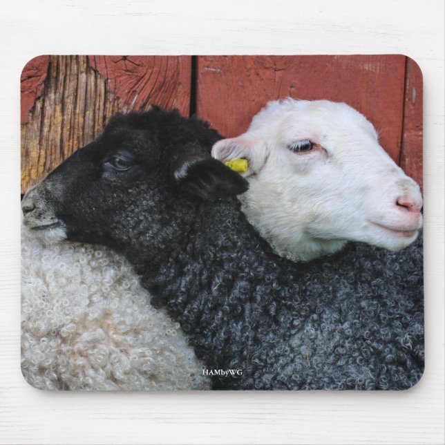HAMbyWG - Black Sheep White Sheep Mouse Pad (Front)