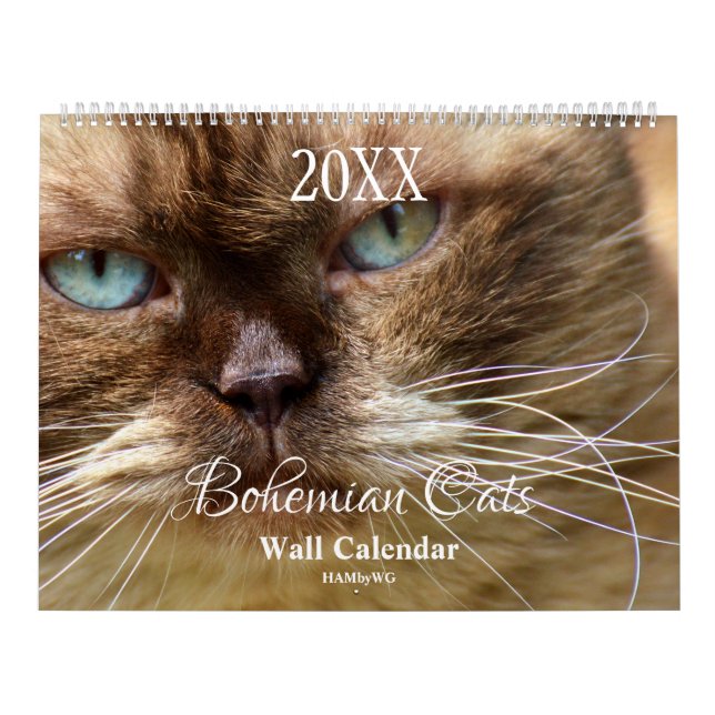 HAMbyWG - Bohemian Cats Calendar (Cover)