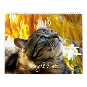 HAMbyWG - Bright Cats Calendar