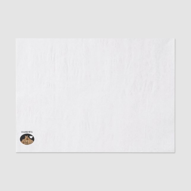 HAMbyWG - Gift Tissue - Squirrel Logo Paper (Front)