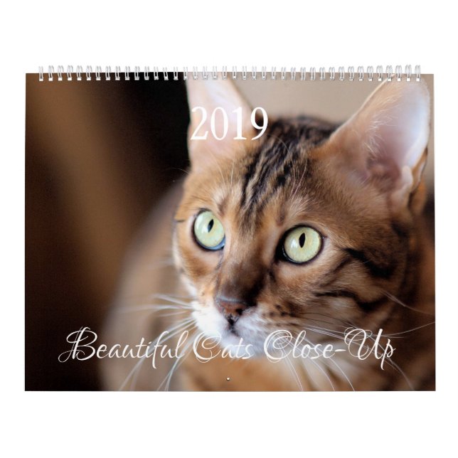 HAMbyWG - Gorgeous Cats Calendar (Cover)