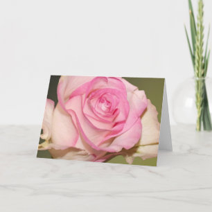 HAMbyWG - Greeting Card - Beautiful Pink Rose