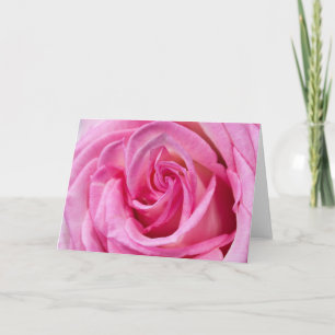 HAMbyWG - Greeting Card - Violet Pink Rose
