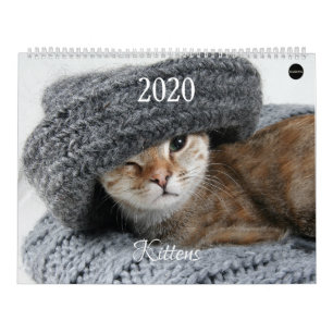 HAMbyWG Kitten Calendar