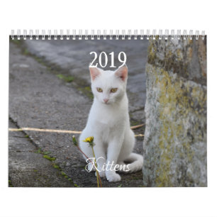 HAMbyWG Kitten Calendar