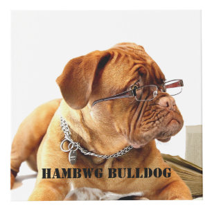 HAMbyWG Make Your Own Custom 4" Photo Cube