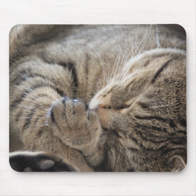 HAMbyWG - Mouse Pad - Cuddling Kitten (Front)
