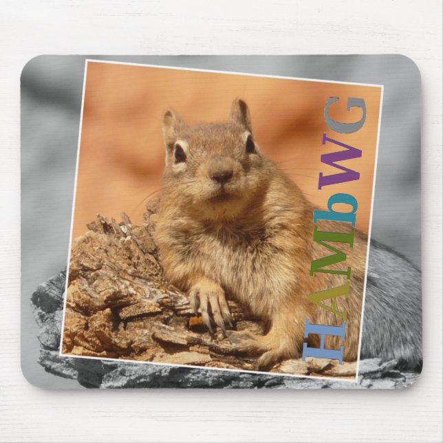 HAMbyWG -  Mouse Pad - Famous Squirrel (Front)