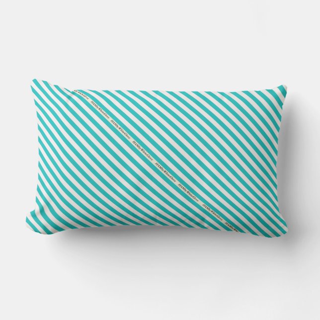HAMbyWG - Pillow   - Aqua White Stripe (Front)
