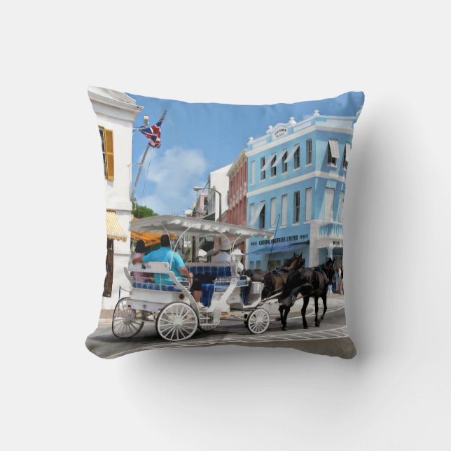 Hamilton Bermuda Carriage Ride Cushion (Front)